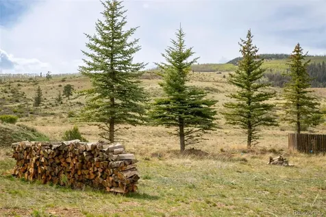 227 Bee Mcclure Drive Creede CO 81130