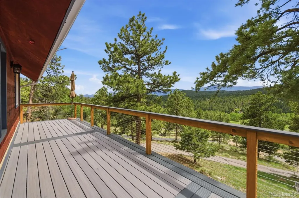202 Badger Lane Bailey CO 80421