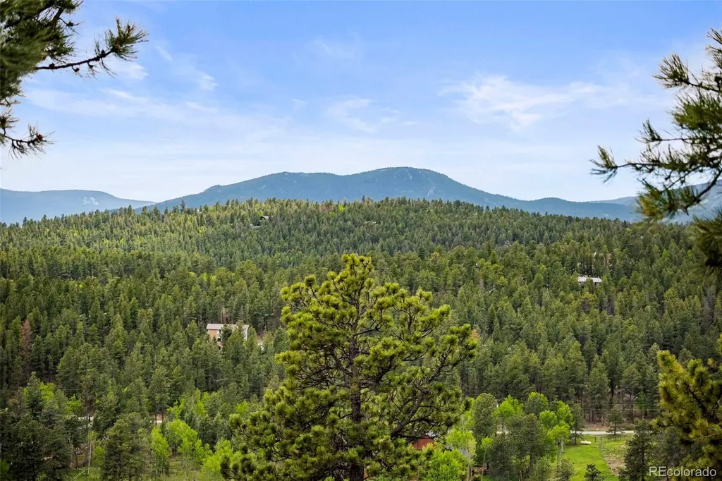 202 Badger Lane Bailey CO 80421
