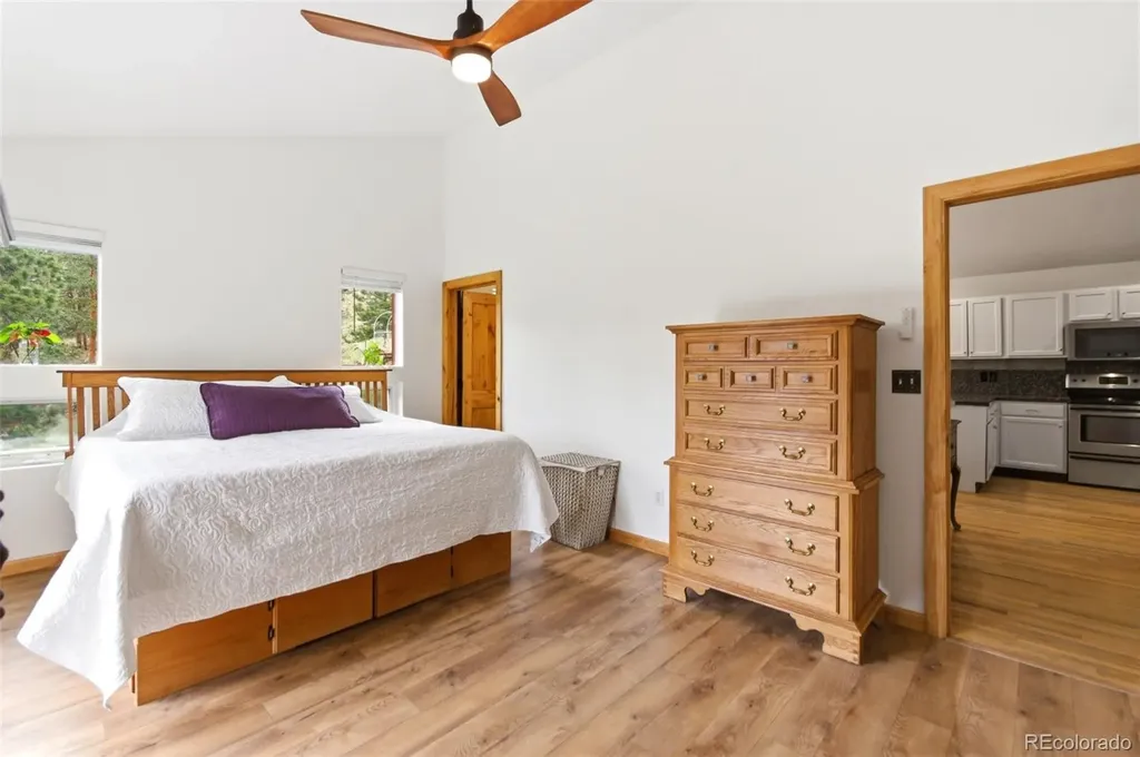 202 Badger Lane Bailey CO 80421