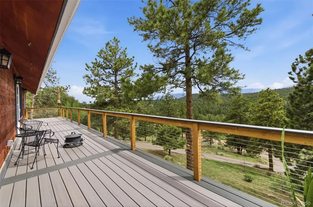 202 Badger Lane Bailey CO 80421