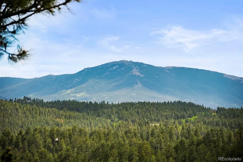202 Badger Lane Bailey CO 80421