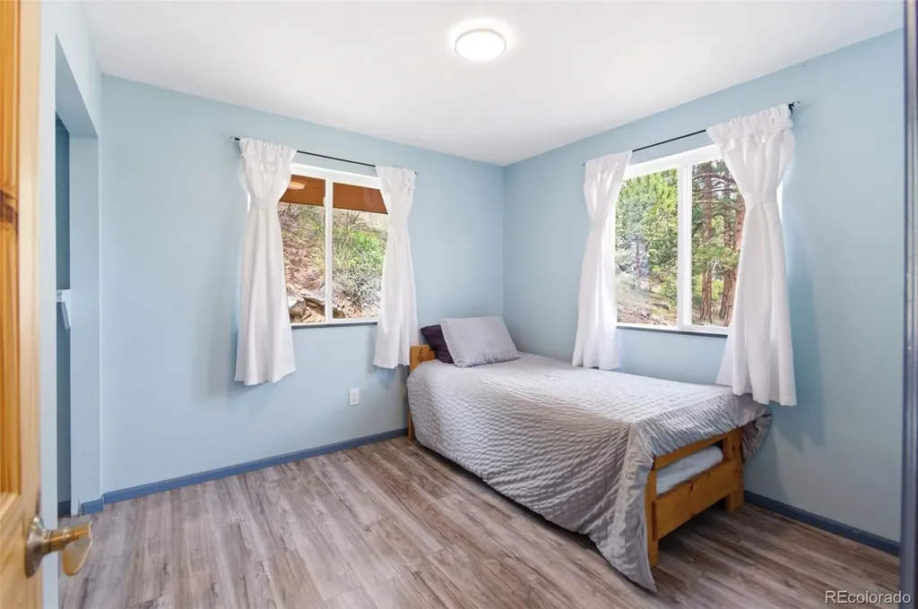 202 Badger Lane Bailey CO 80421