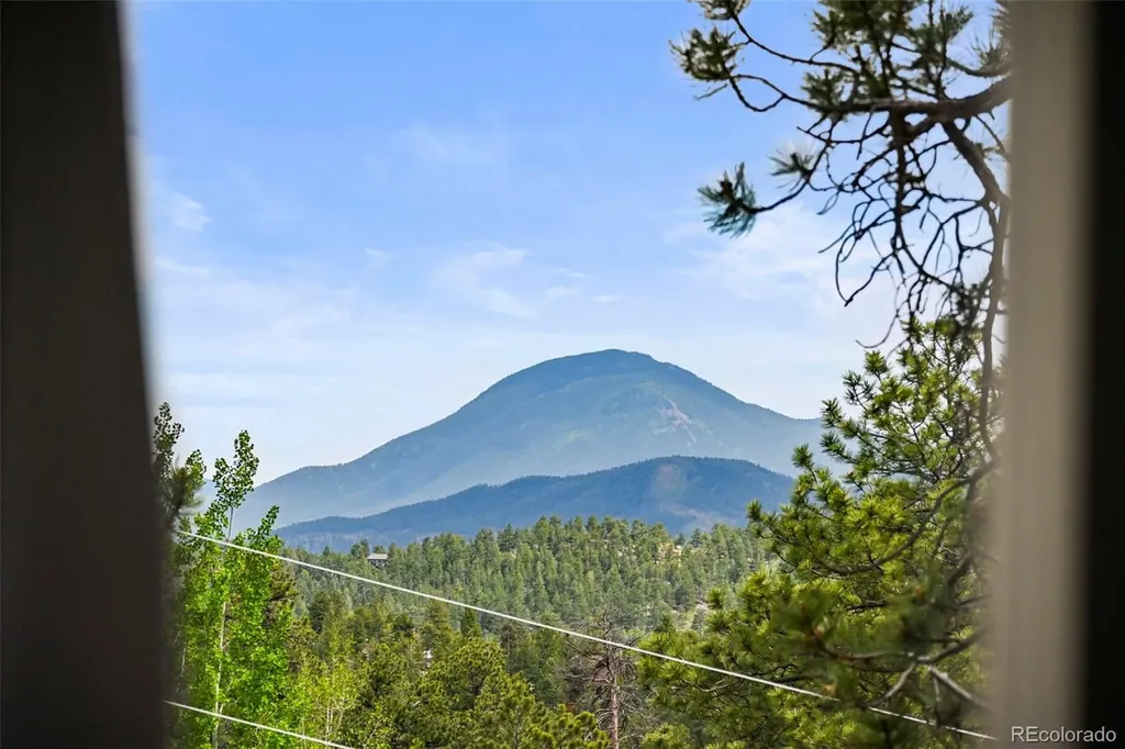 202 Badger Lane Bailey CO 80421