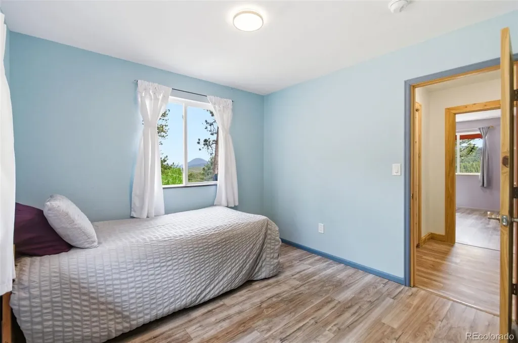 202 Badger Lane Bailey CO 80421