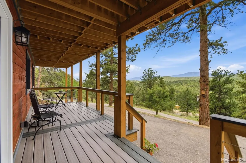 202 Badger Lane Bailey CO 80421