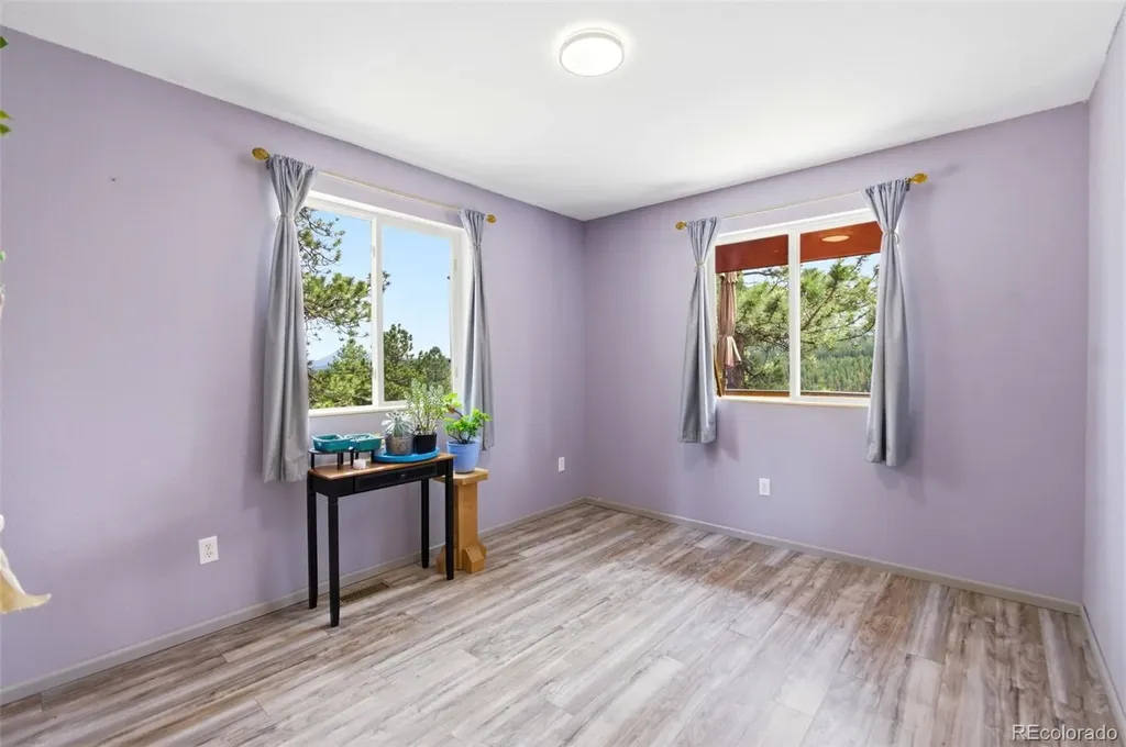 202 Badger Lane Bailey CO 80421