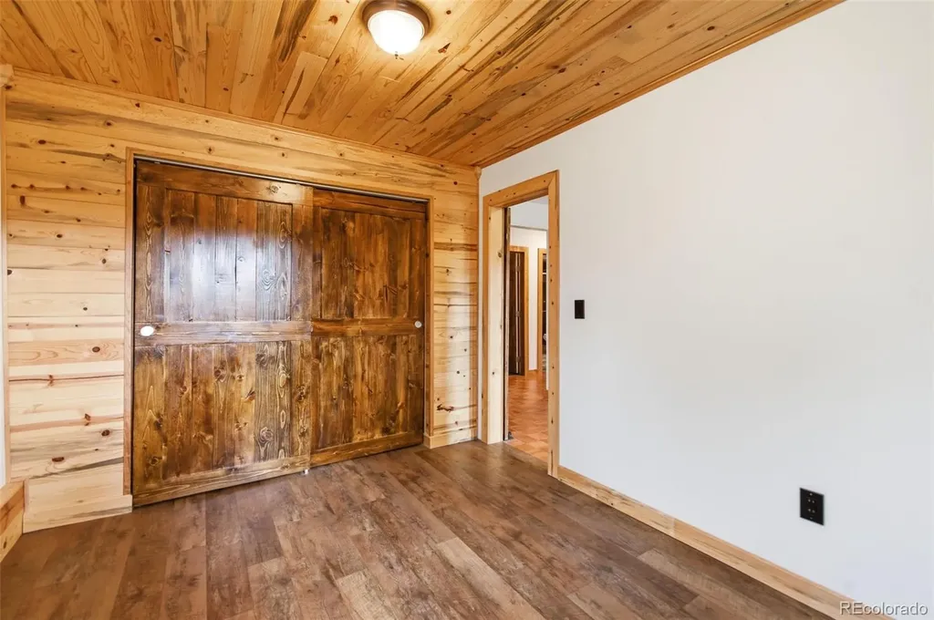 202 Badger Lane Bailey CO 80421