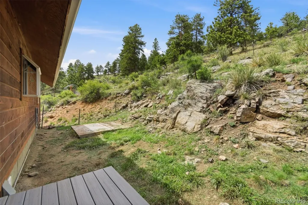 202 Badger Lane Bailey CO 80421