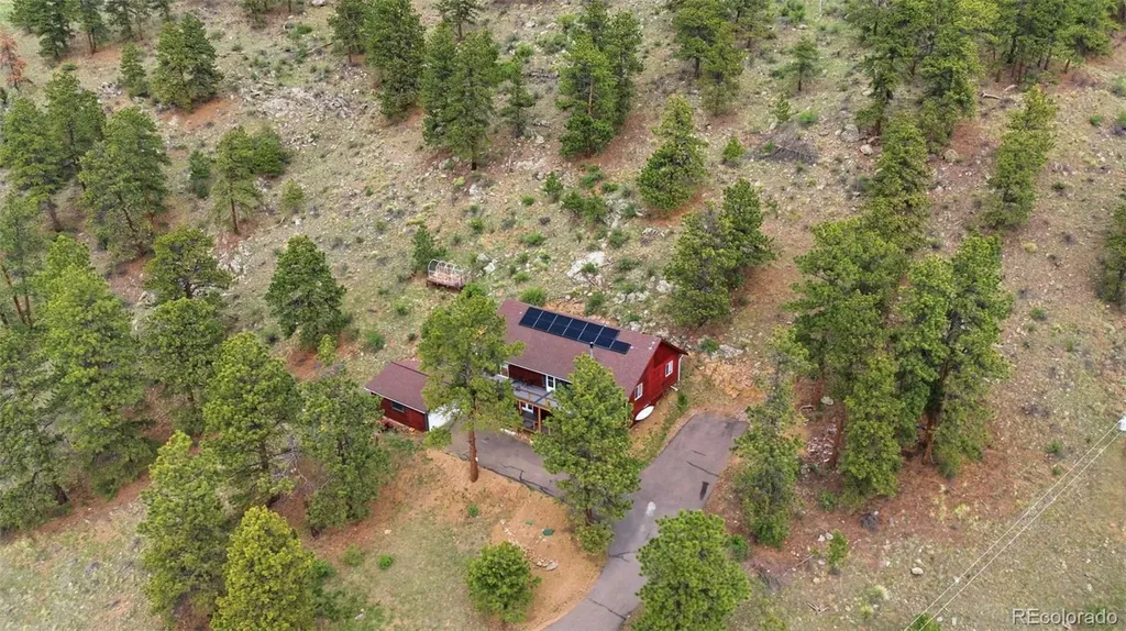 202 Badger Lane Bailey CO 80421