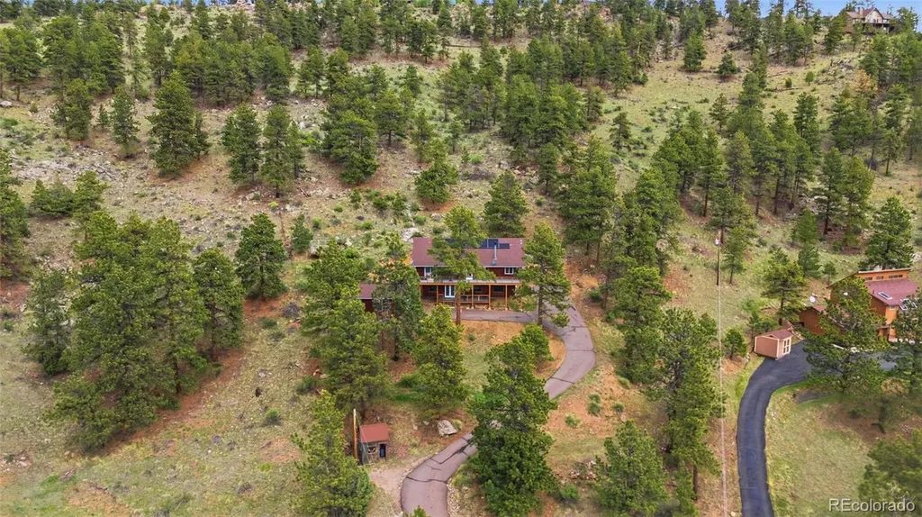202 Badger Lane Bailey CO 80421