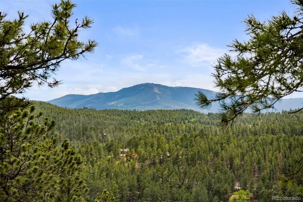 202 Badger Lane Bailey CO 80421