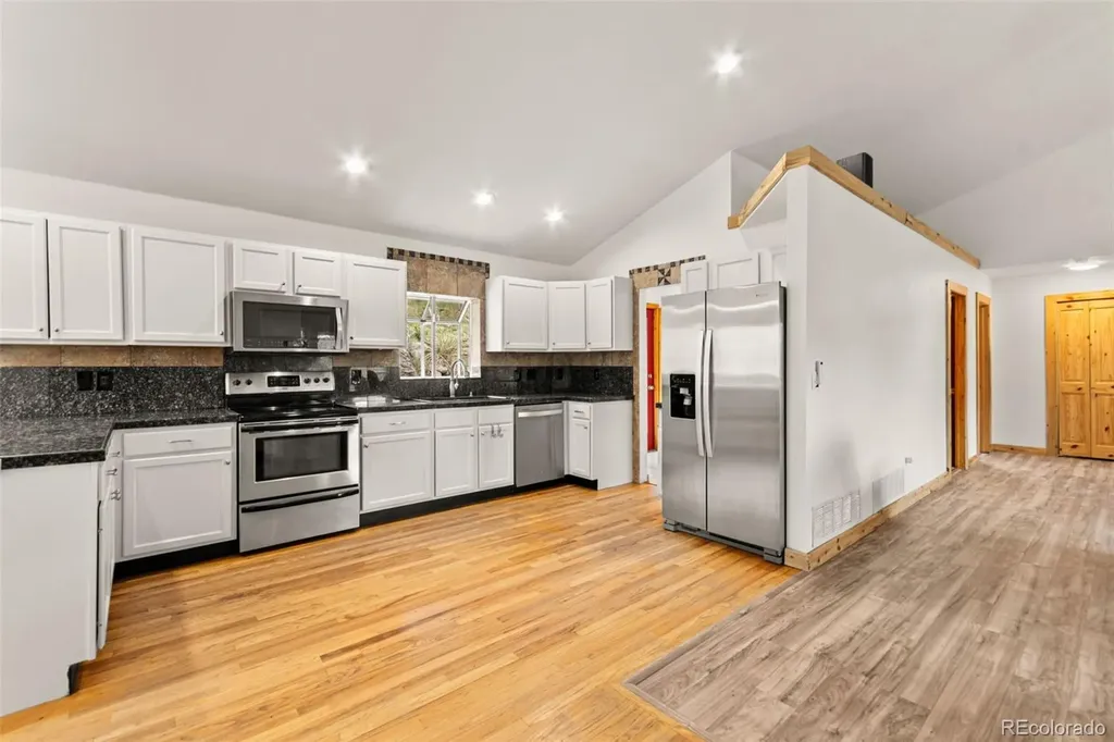 202 Badger Lane Bailey CO 80421