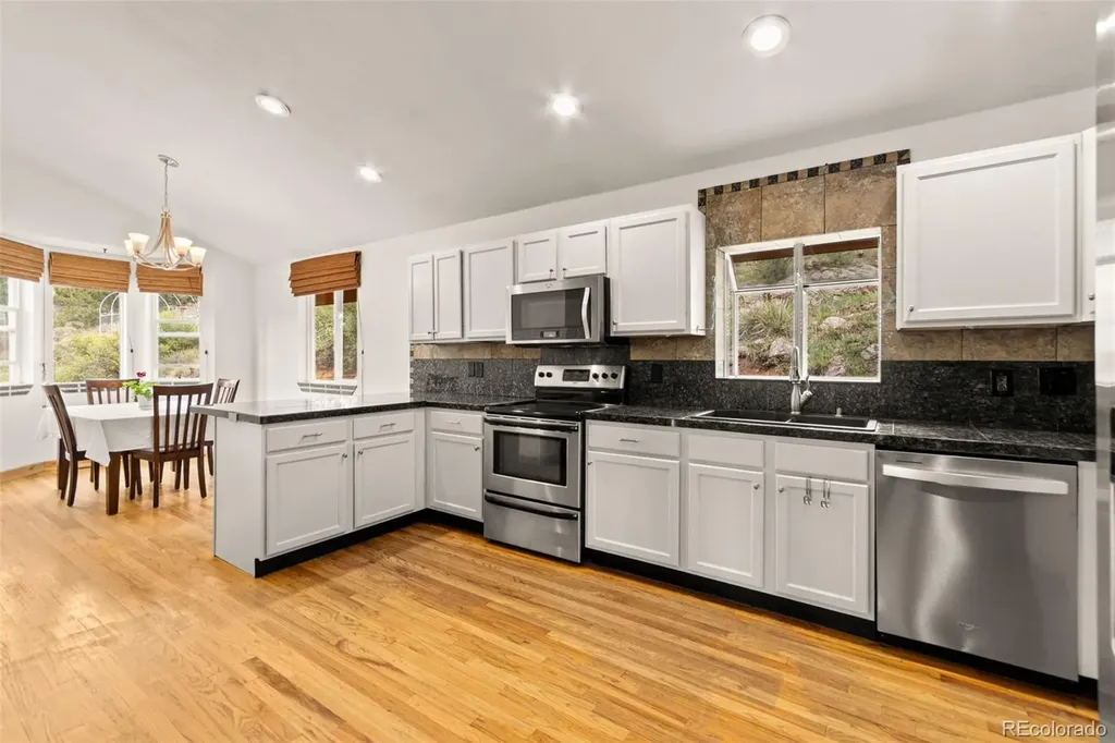 202 Badger Lane Bailey CO 80421