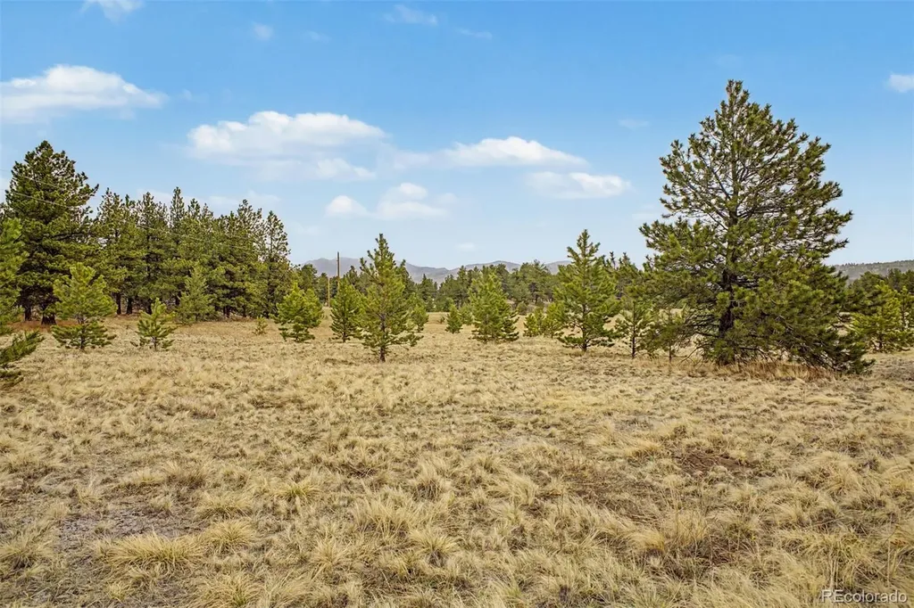 0 Ranger Station Road Florissant CO 80816