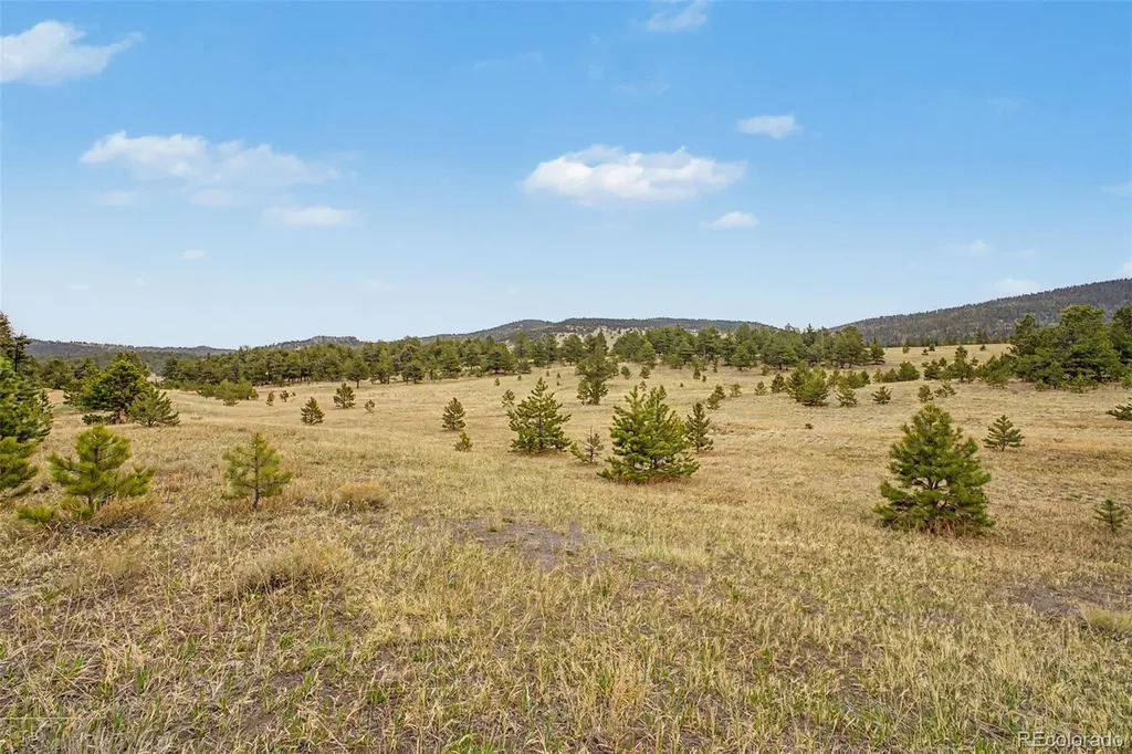 0 Ranger Station Road Florissant CO 80816