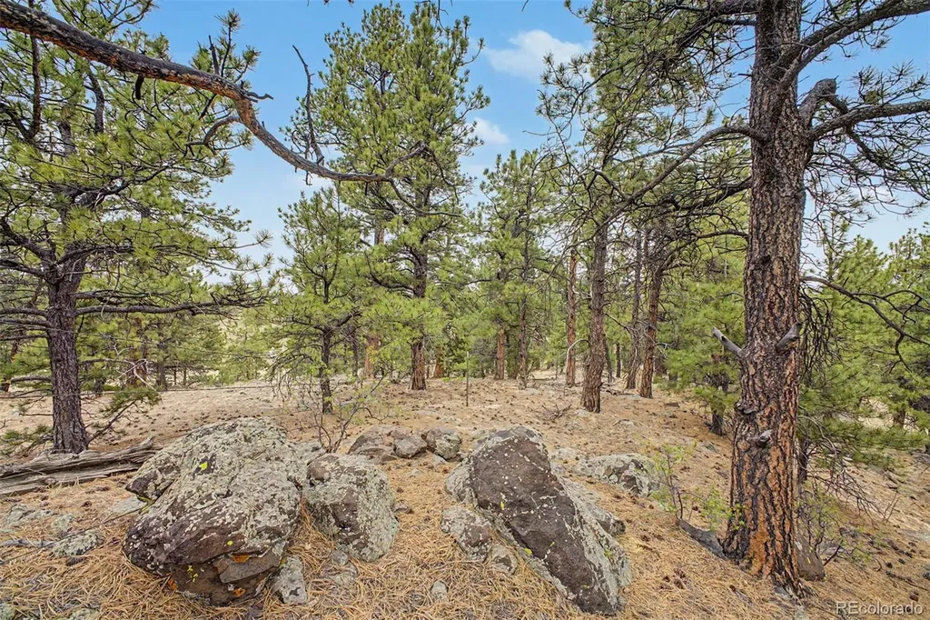 0 Ranger Station Road Florissant CO 80816