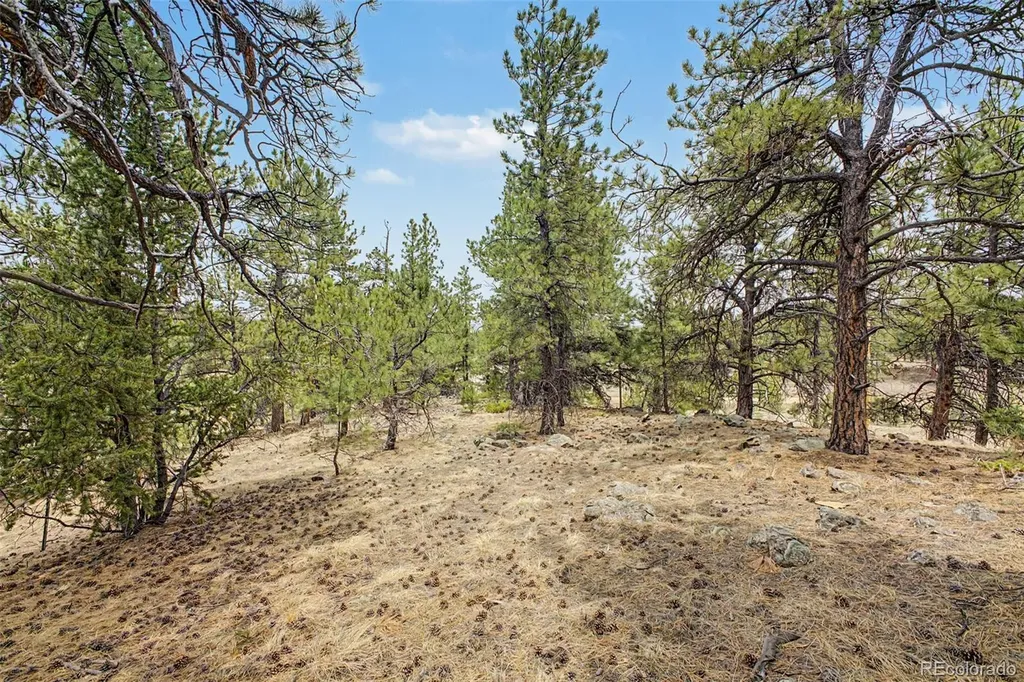 0 Ranger Station Road Florissant CO 80816