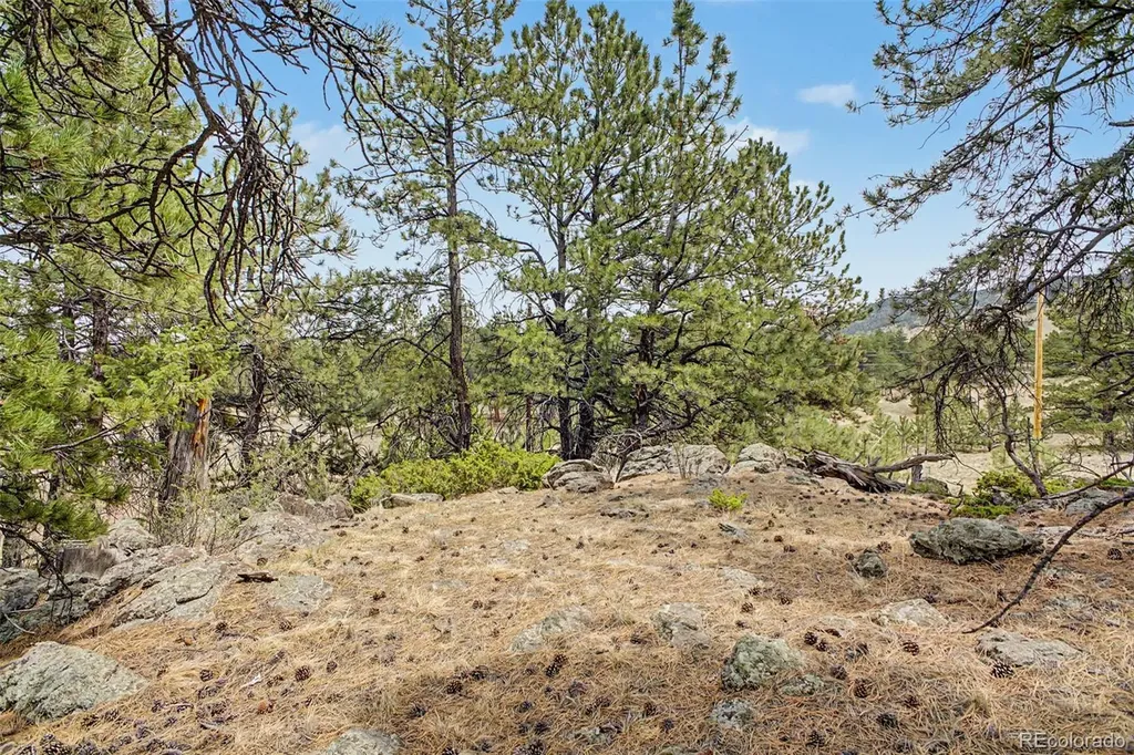 0 Ranger Station Road Florissant CO 80816