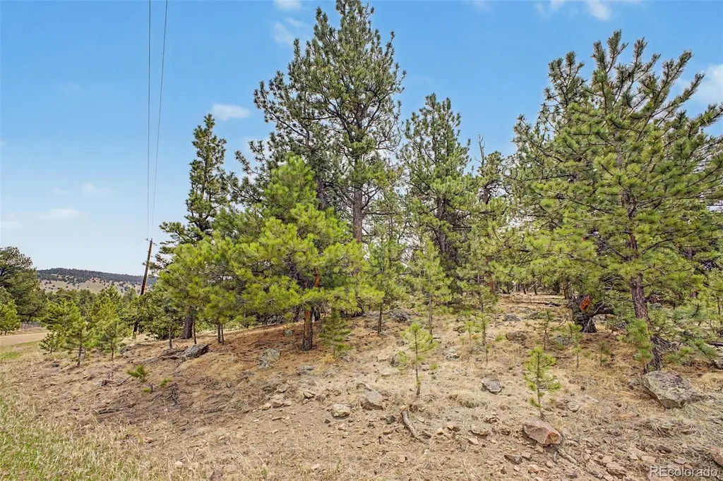 0 Ranger Station Road Florissant CO 80816