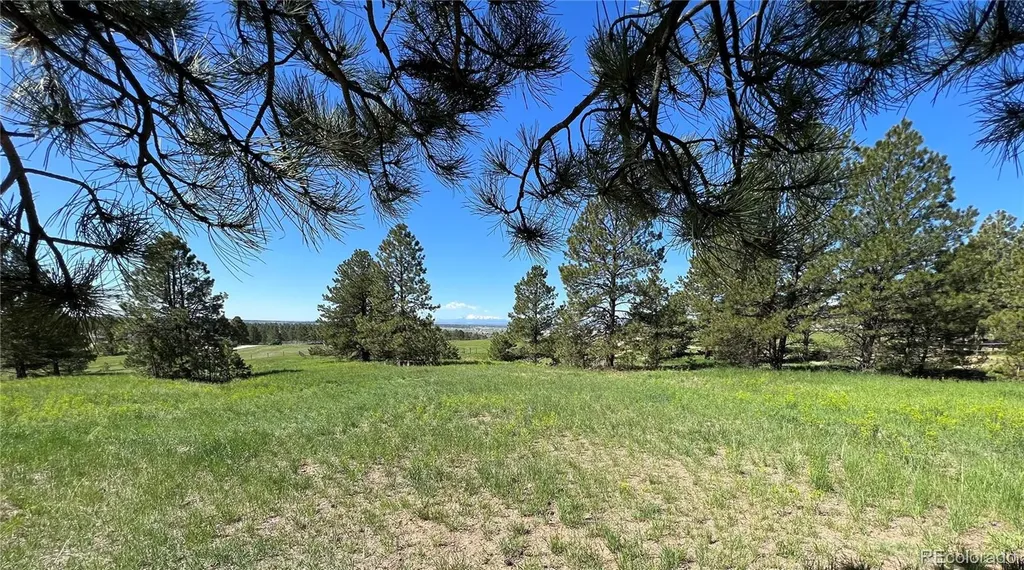 10290 Democrat Road Parker CO 80134