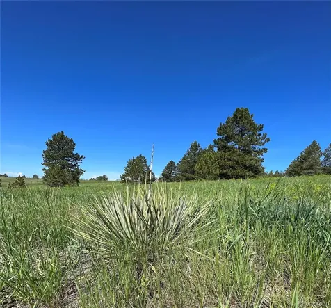10290 Democrat Road Parker CO 80134