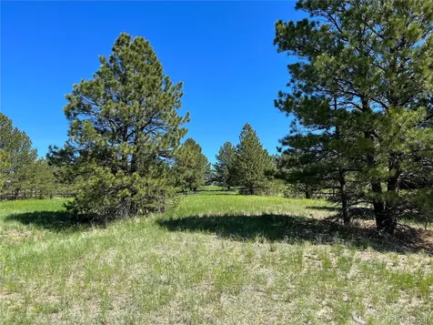 10290 Democrat Road Parker CO 80134