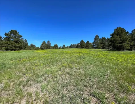 10290 Democrat Road Parker CO 80134