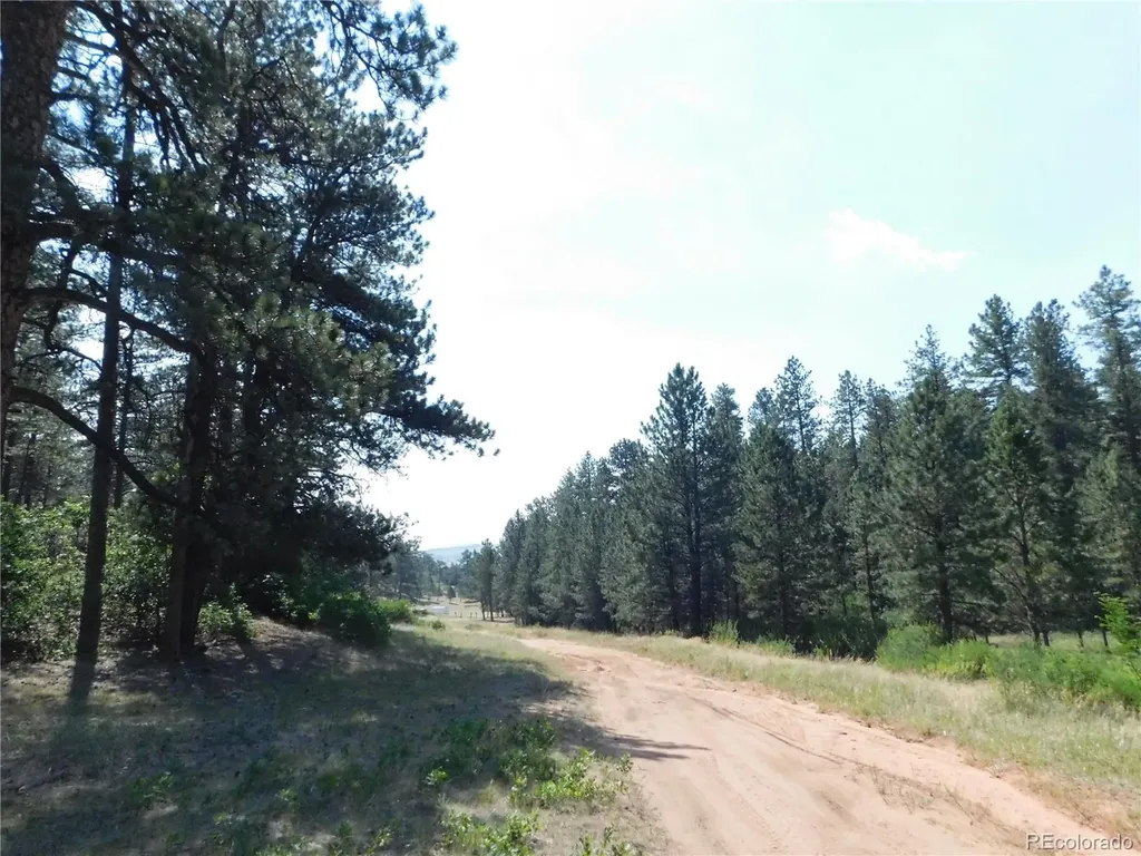 8202 Bannock Drive Larkspur CO 80118