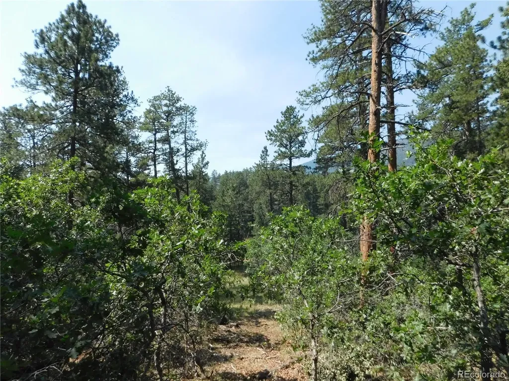 8202 Bannock Drive Larkspur CO 80118