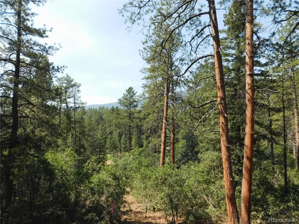 8202 Bannock Drive Larkspur CO 80118