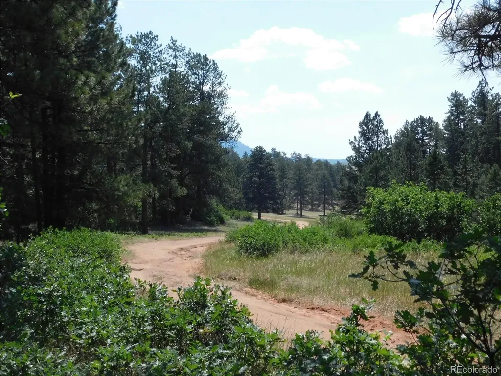 8202 Bannock Drive Larkspur CO 80118