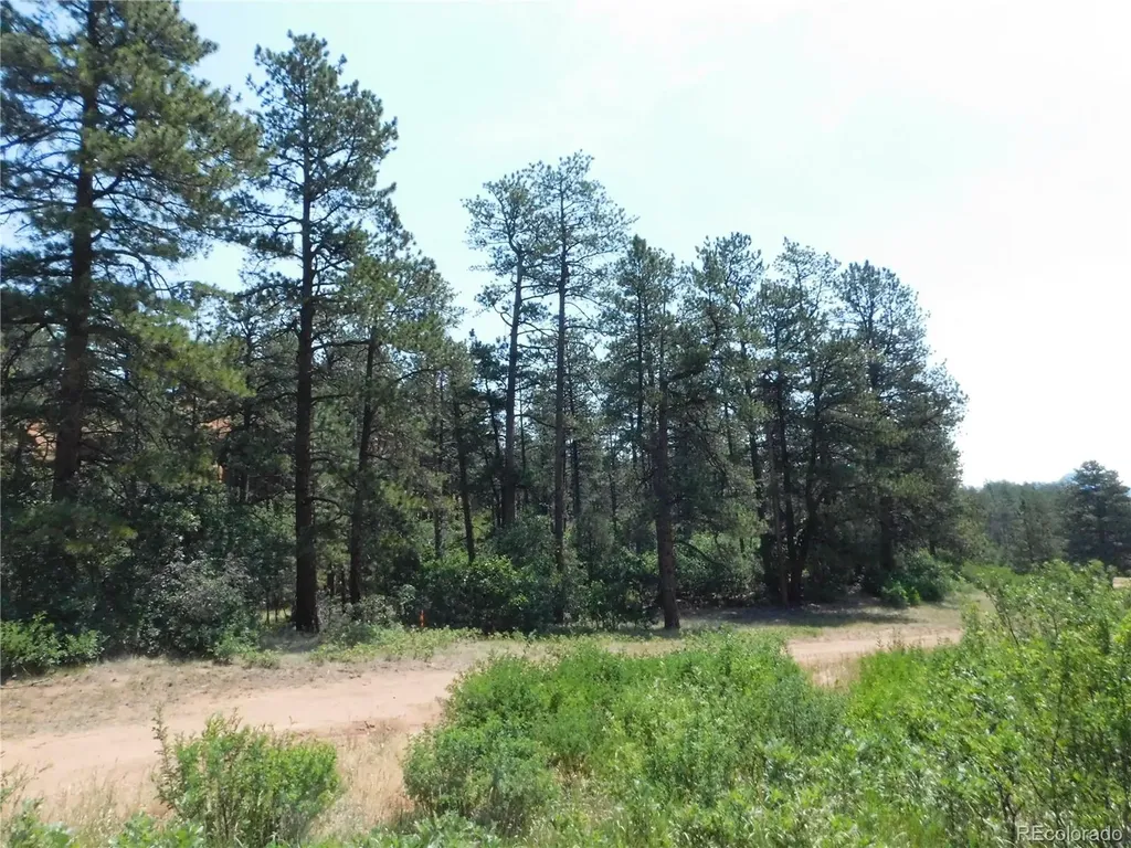 8202 Bannock Drive Larkspur CO 80118