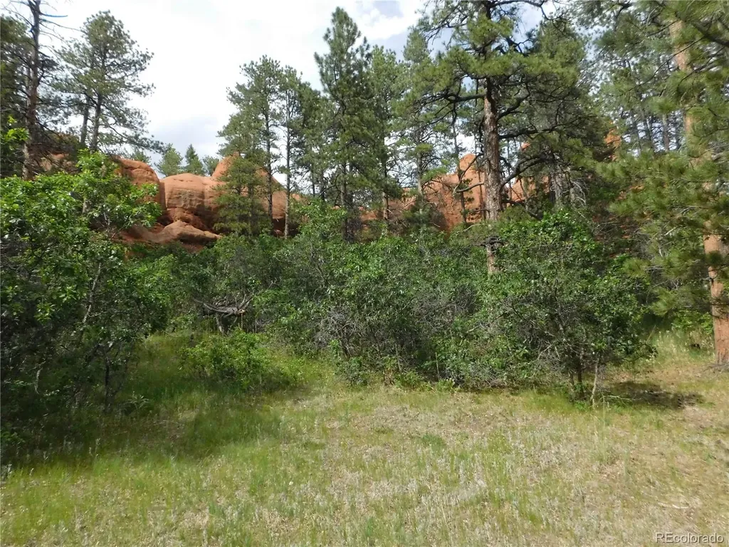 8202 Bannock Drive Larkspur CO 80118