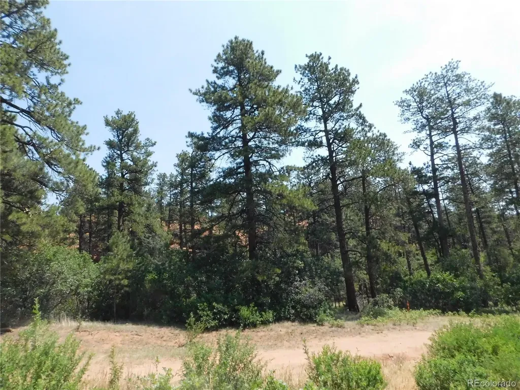 8202 Bannock Drive Larkspur CO 80118