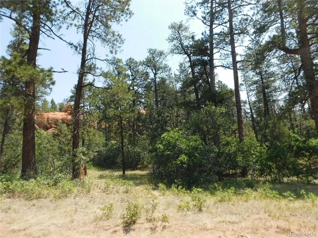 8202 Bannock Drive Larkspur CO 80118