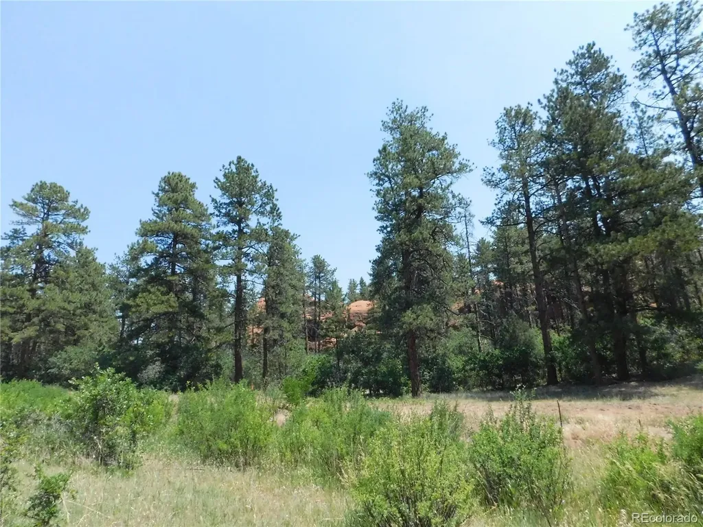 8202 Bannock Drive Larkspur CO 80118