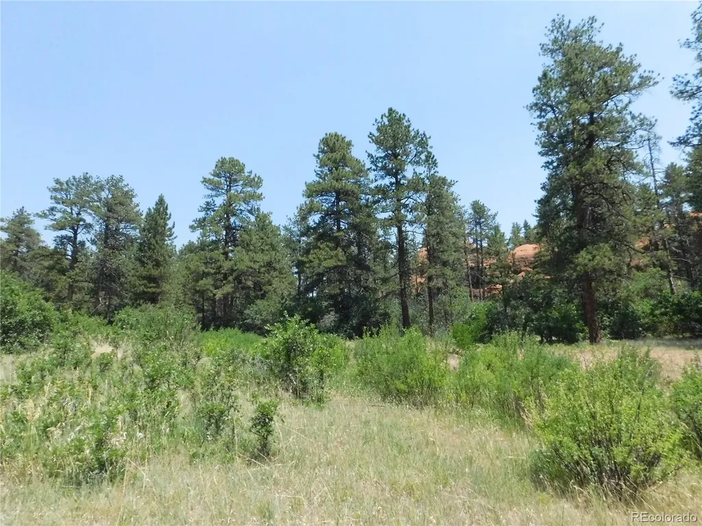 8202 Bannock Drive Larkspur CO 80118