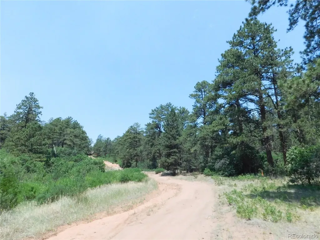 8202 Bannock Drive Larkspur CO 80118