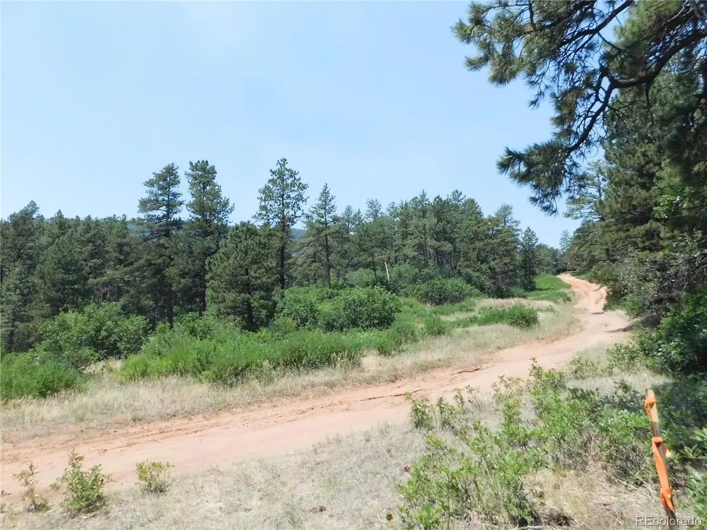 8202 Bannock Drive Larkspur CO 80118