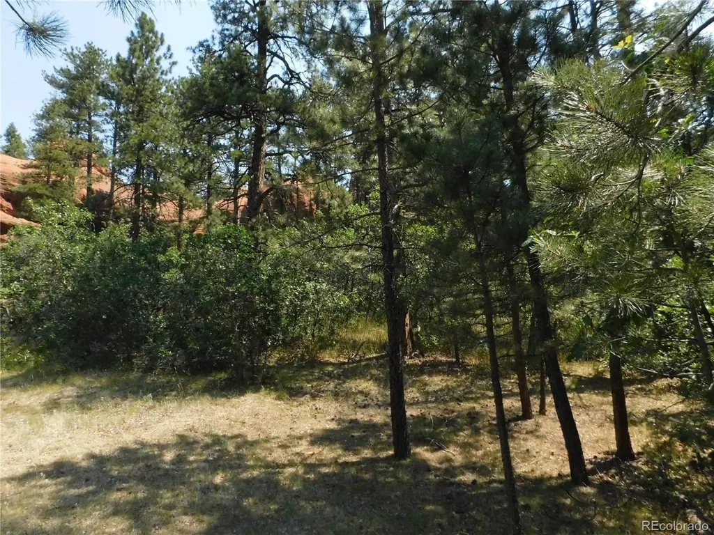 8202 Bannock Drive Larkspur CO 80118