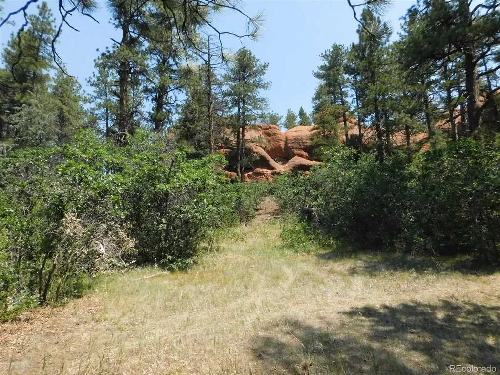 8202 Bannock Drive Larkspur CO 80118