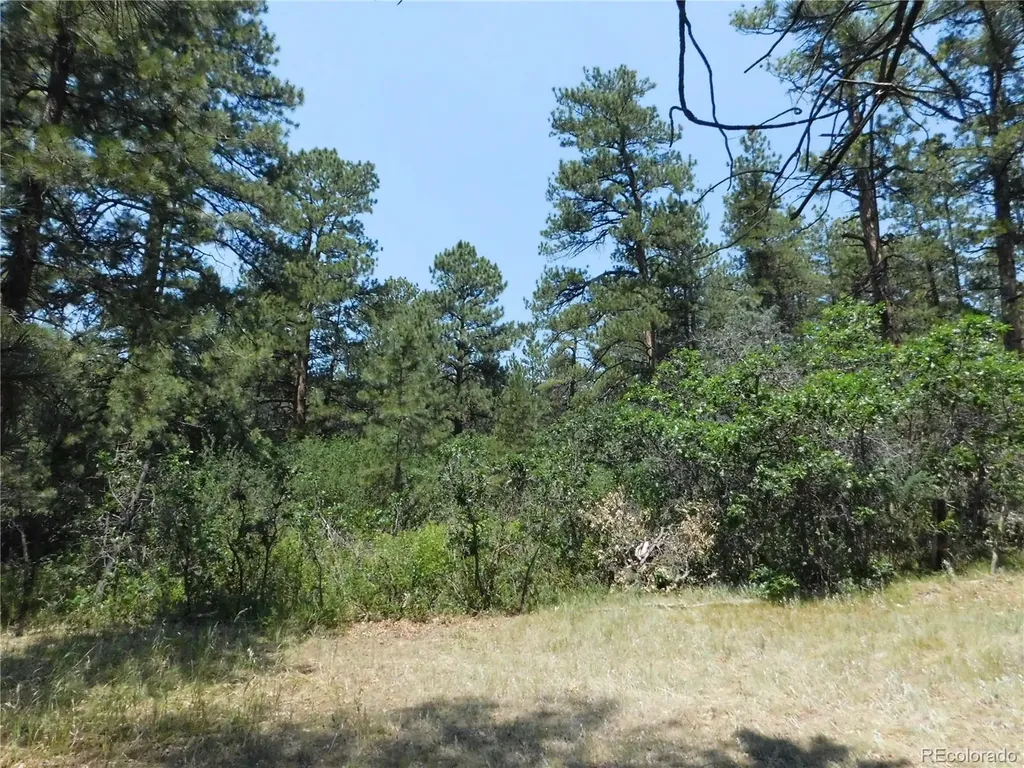 8202 Bannock Drive Larkspur CO 80118
