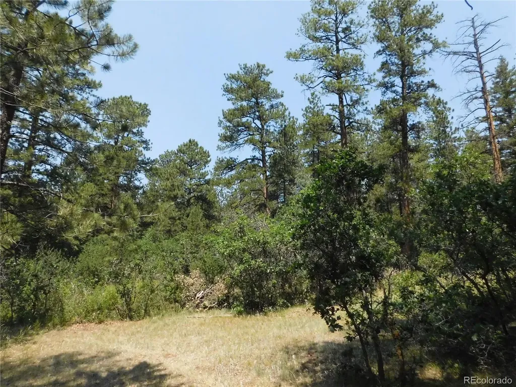 8202 Bannock Drive Larkspur CO 80118