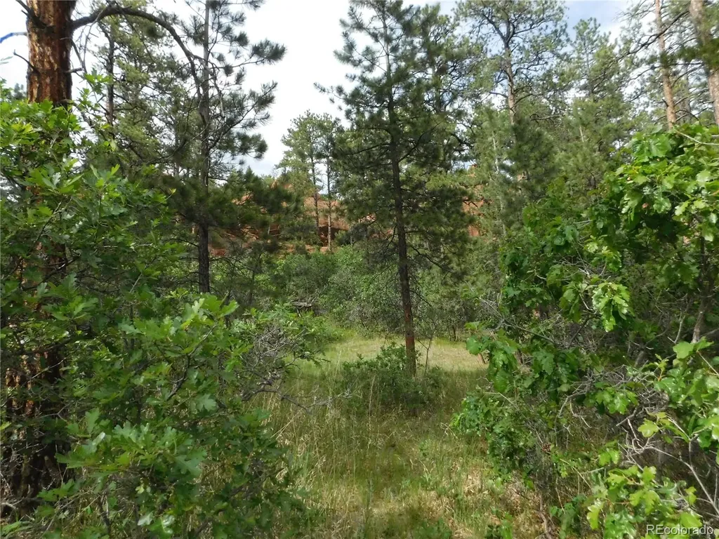 8202 Bannock Drive Larkspur CO 80118
