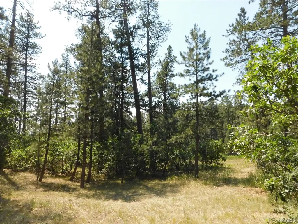 8202 Bannock Drive Larkspur CO 80118