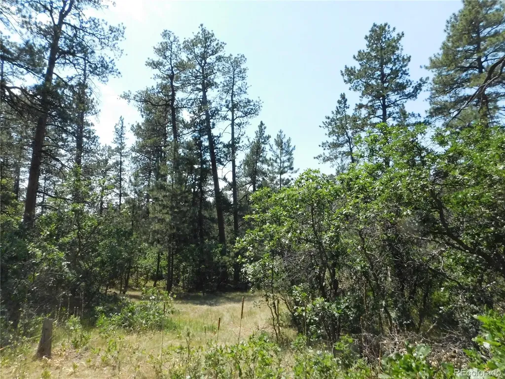 8202 Bannock Drive Larkspur CO 80118