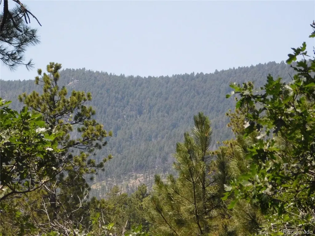 8202 Bannock Drive Larkspur CO 80118