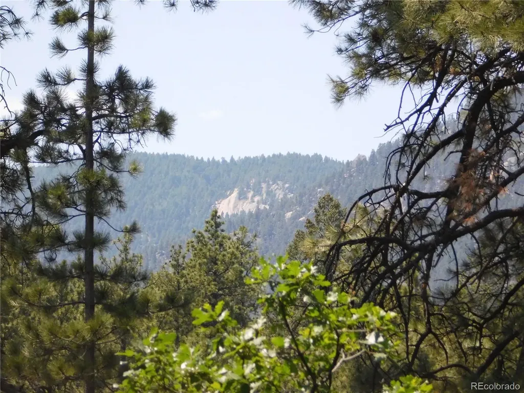 8202 Bannock Drive Larkspur CO 80118