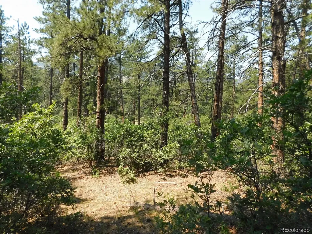 8202 Bannock Drive Larkspur CO 80118